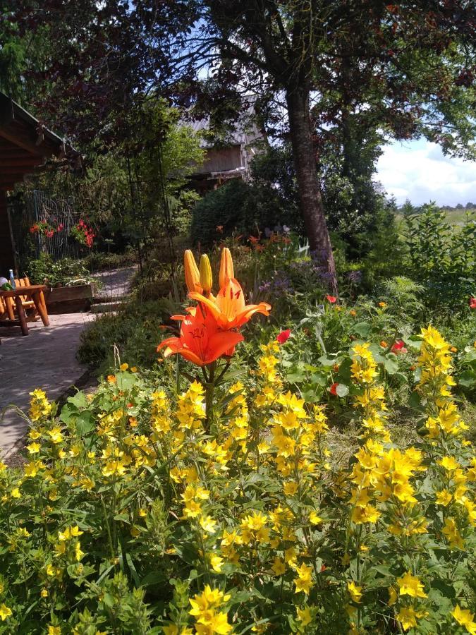 Au Paradou Du Bucheron Adults Only Lessive Экстерьер фото