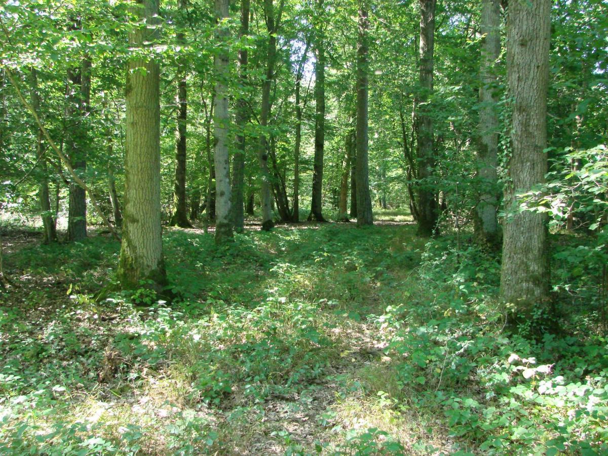 Au Paradou Du Bucheron Adults Only Lessive Экстерьер фото