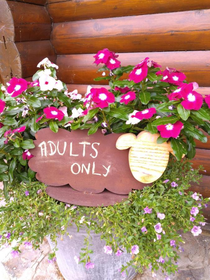 Au Paradou Du Bucheron Adults Only Lessive Экстерьер фото